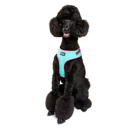 Dog Neon Harness - DOOG