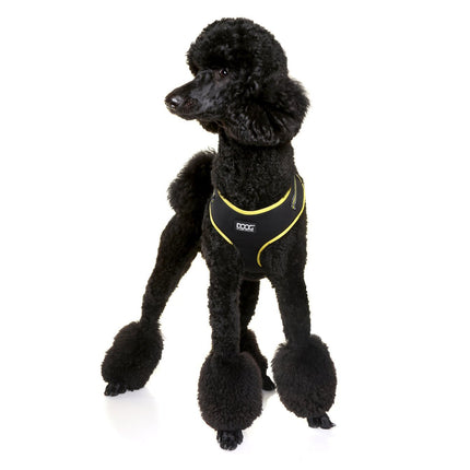 Neon Dog Harness - DOOG