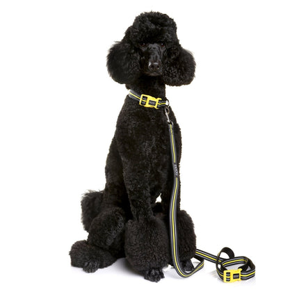 DOOG Neon 'CLIP IT' Neoprene Dog Lead (BOLT)