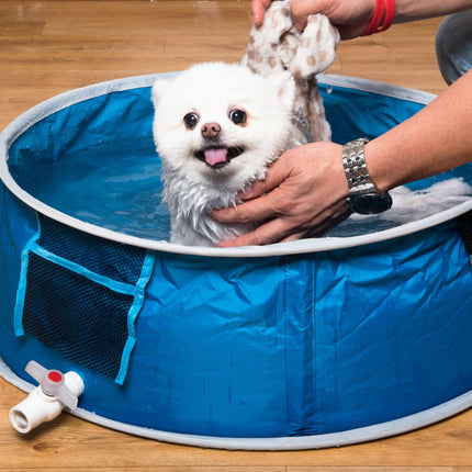 Dog Baths 