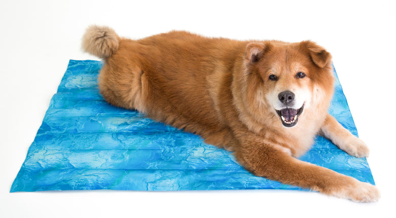 Coco Jojo Pet Cooling Mat XL